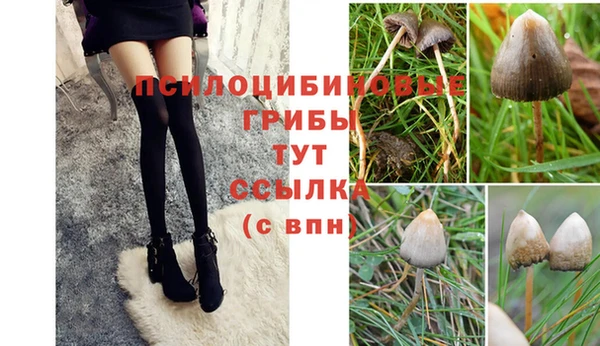 МДМА Заводоуковск
